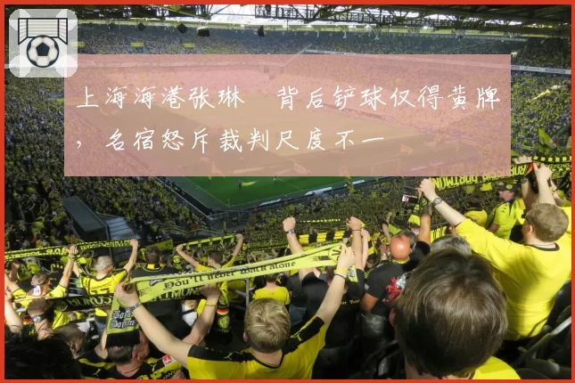 上海海港张琳芃背后铲球仅得黄牌，名宿怒斥裁判尺度不一