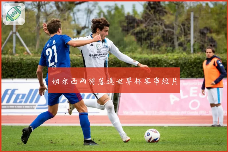 切尔西两将落选世界杯客串短片