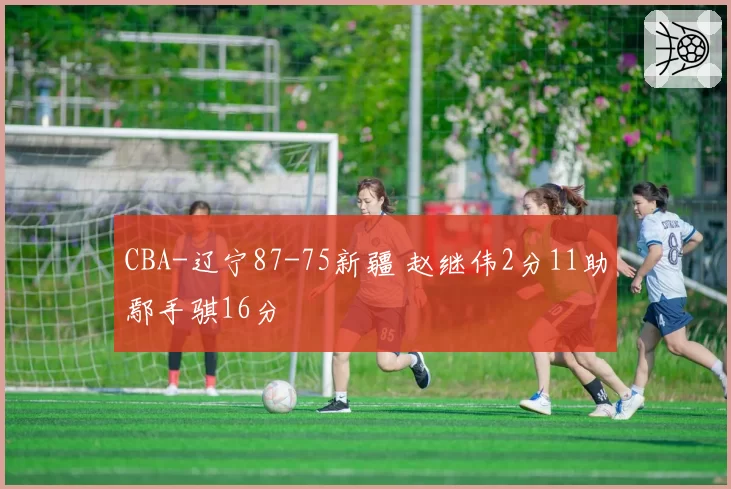 CBA-辽宁87-75新疆 赵继伟2分11助鄢手骐16分